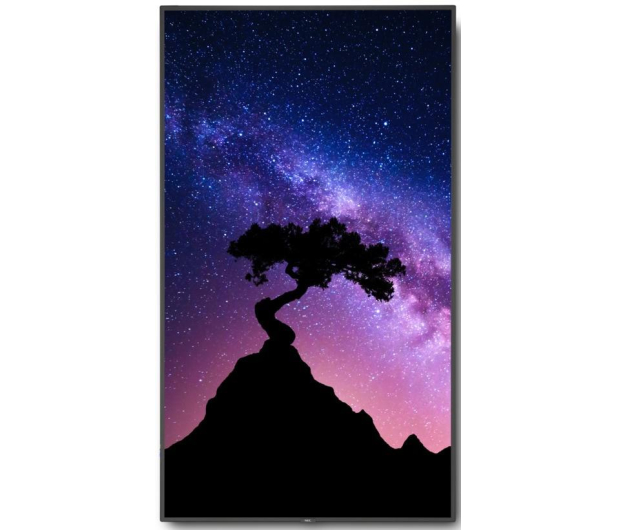 Nec 75'' MultiSync V754Q 60004317 Czarny - 1385361 - zdjęcie 4